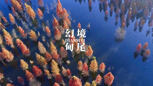 逃离梦想花园