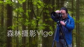 合金装备幸存