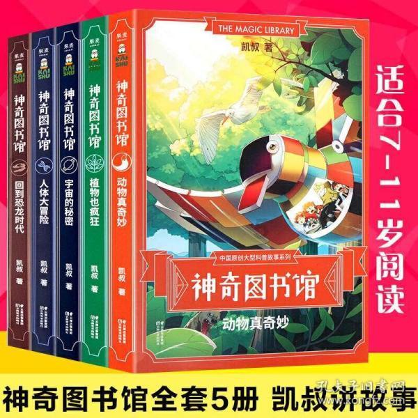 -(-12)怎么读？