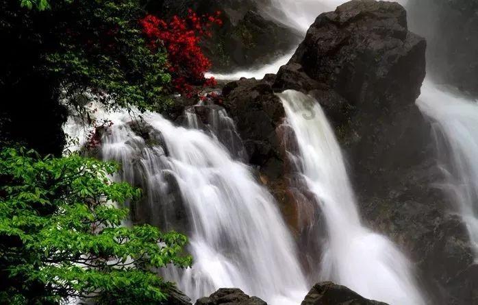 宝宝吃哪种油最好？核桃油、橄榄油、牛油果油、亚麻籽油等到底选哪个？游戏画面