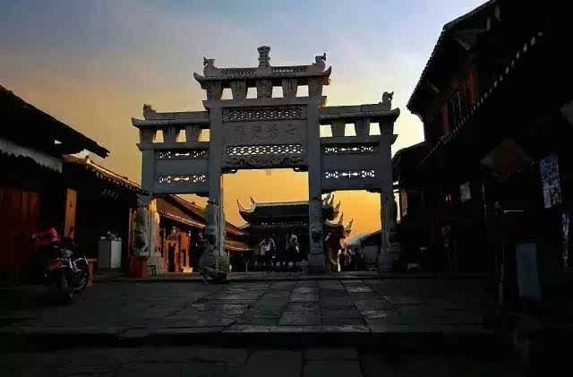 拯救昆虫群